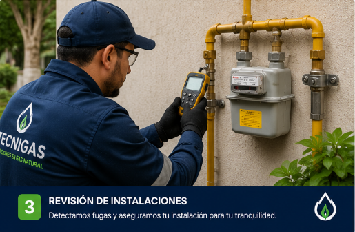 Revisión